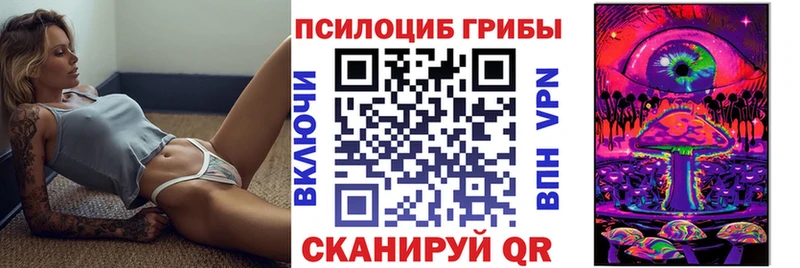 Купить закладки  Рошаль  Псилоцибиновые грибы Psilocybine cubensis 